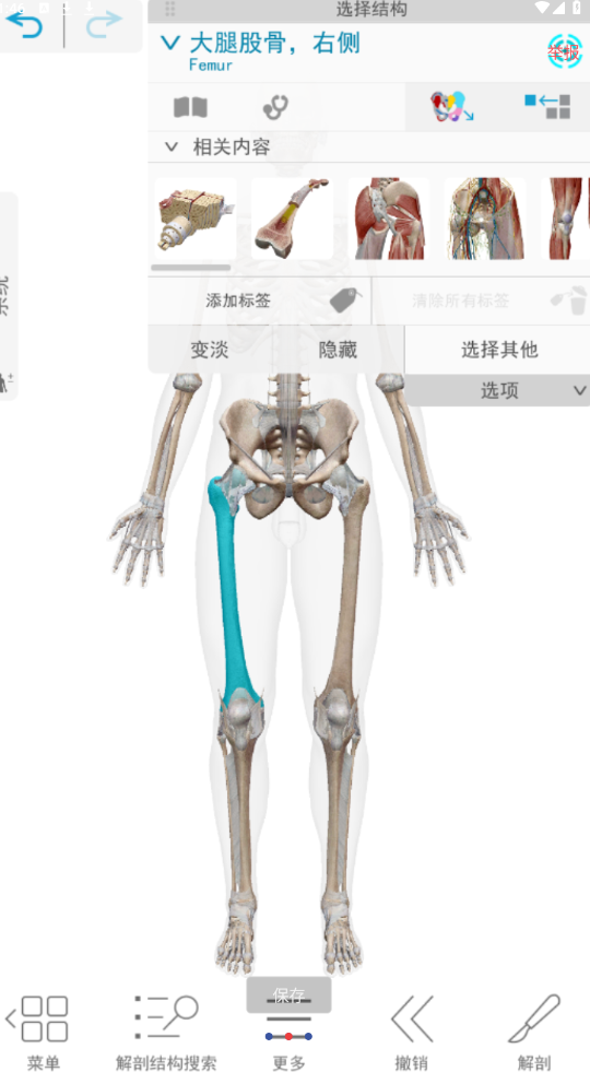 点击查看原图 QQ截图20240919014628.png